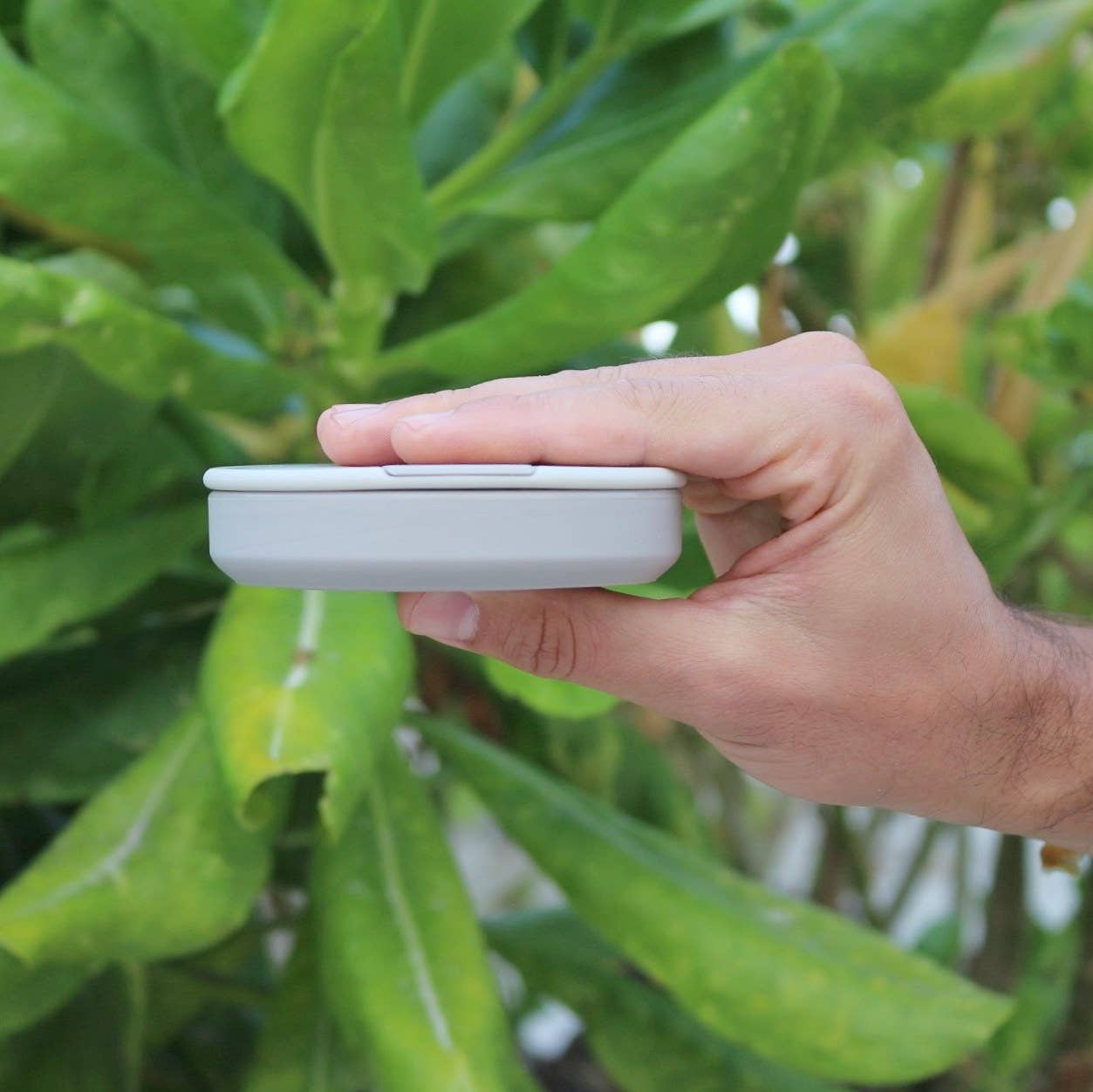 Beewise – Chávena de chá por atacado – Copo de Viagem Dobrável para Café | Reutilizável e Seguro para Lava-louças2