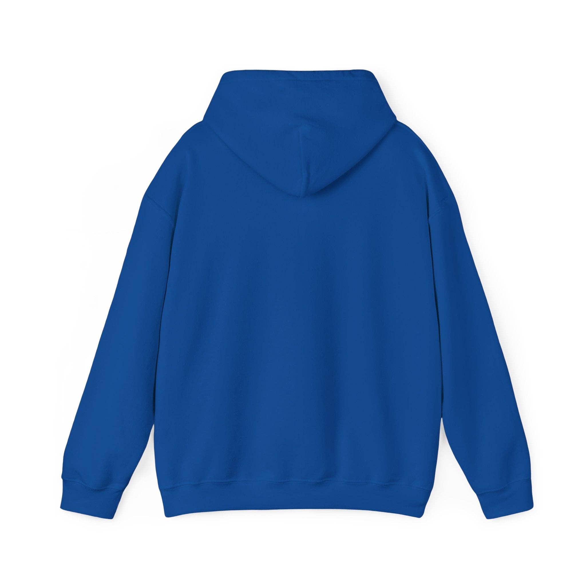 RC'nSONS - Wholesale Hoodie - Women's - Unisex Heavy Blend™ Hooded Sweatshirt29