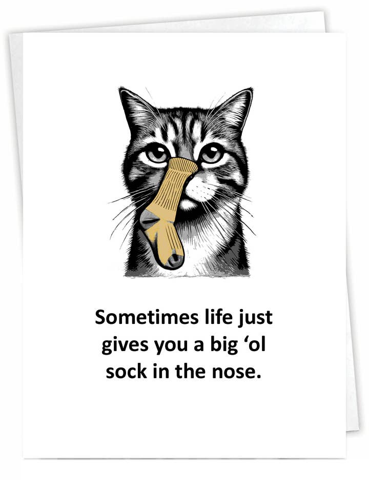 Cartão Engraçado a Pensar em Ti - Meia de Gato - Interior em Branco por atacado de Blue Spark Card Co