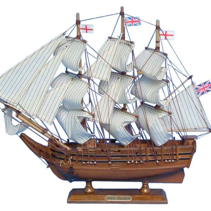 Charles Darwins HMS Beagle-modelschip 14" voor wholesale door Hampton Nautical