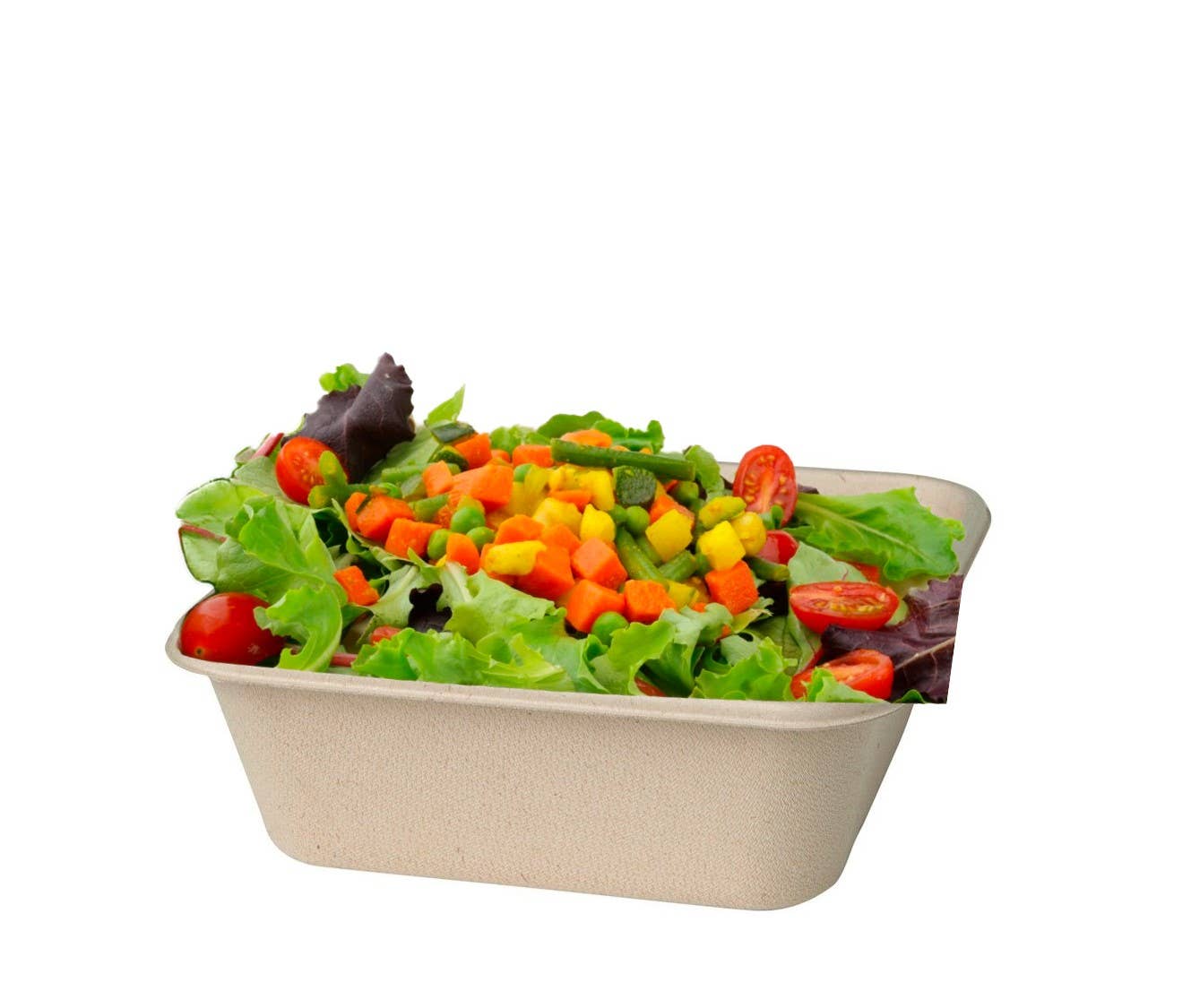 Gradisco - Wholesale Food Storage Container - Ecoecho® Container 900 ml - Pack of 40 pieces1