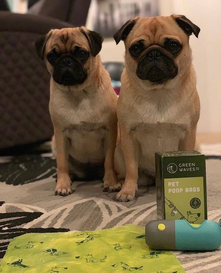 Green Waves Co. - Vente Distributeur de sacs à déjections canines - Distributeur de sacs à crottes avec lampe de poche LED8