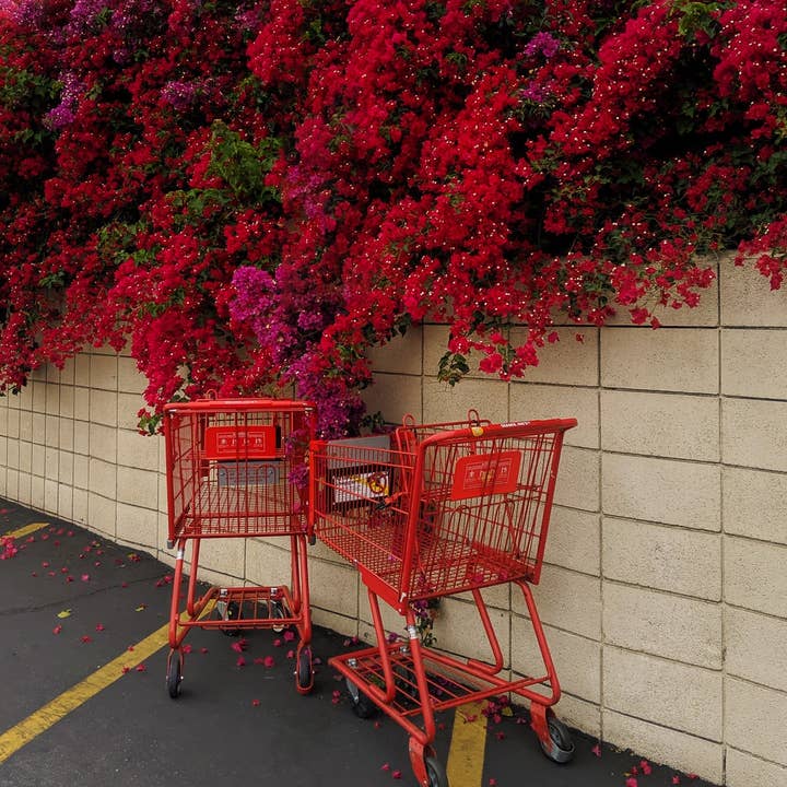 Kismet pour la vente par Tommy's Print Shop