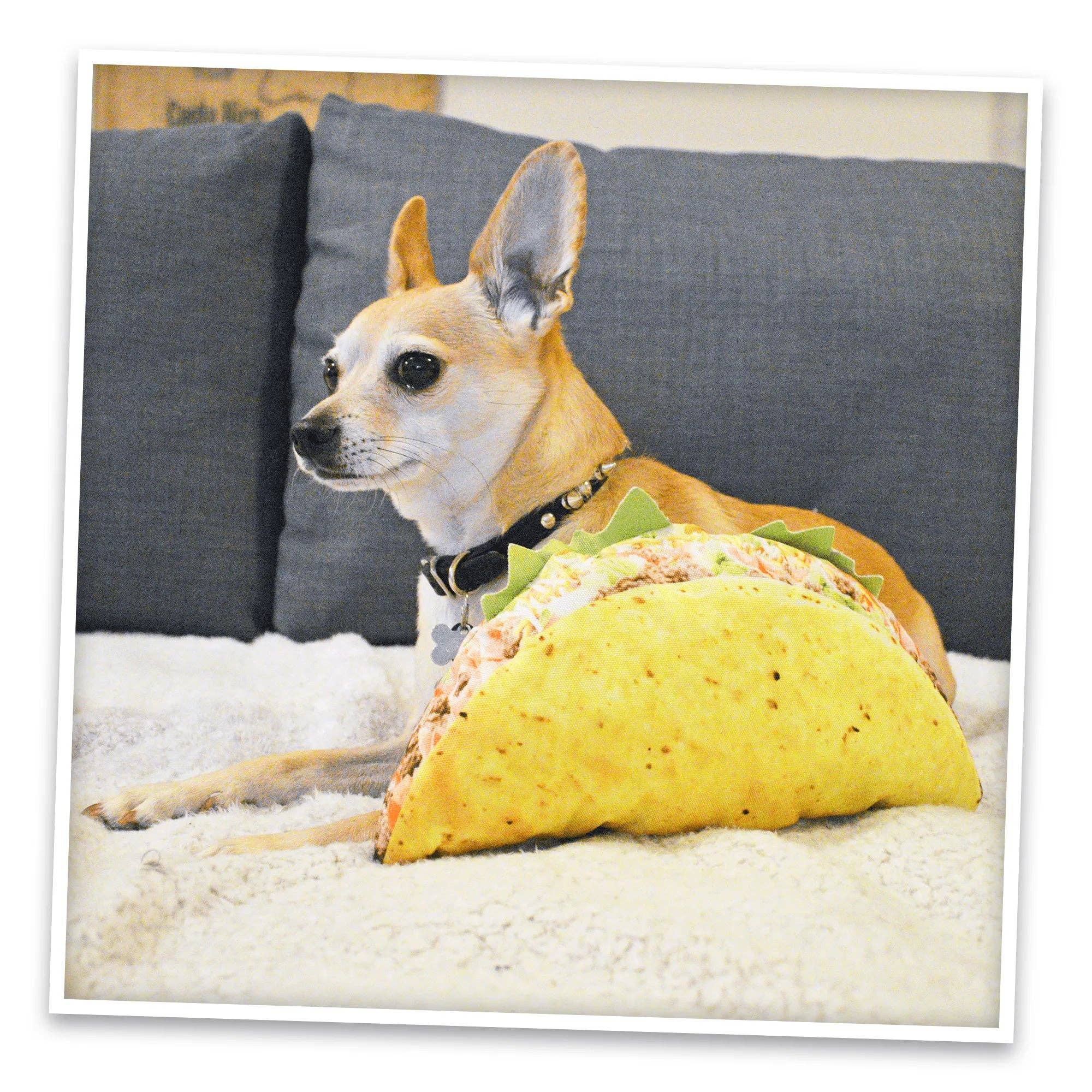 SmarterPaw | Meowijuana & Doggijuana – Großhandel Plüschtier – Hund – Doggijuana® Hol dir die Munchies Taco Nachfüllbares Hundespielzeug5