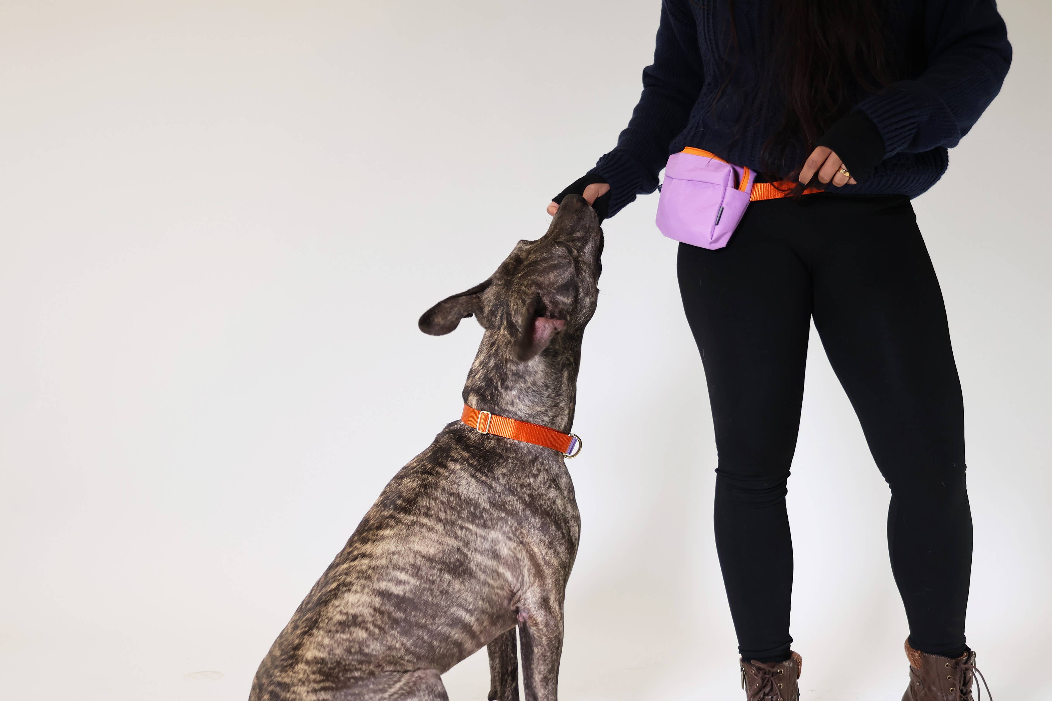 Major Darling - Vente Sac ceinture – femme - Banane pour promener votre chien10