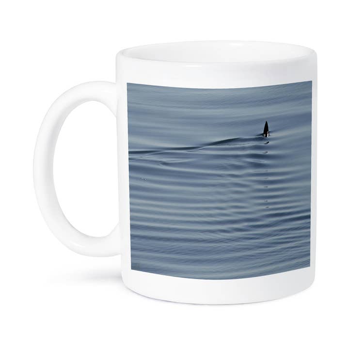 3dRose - Vendita all'ingrosso Tazza - 3dRose, Squalo Martello Liscio, Sphyrna Zygaena, Tazza8