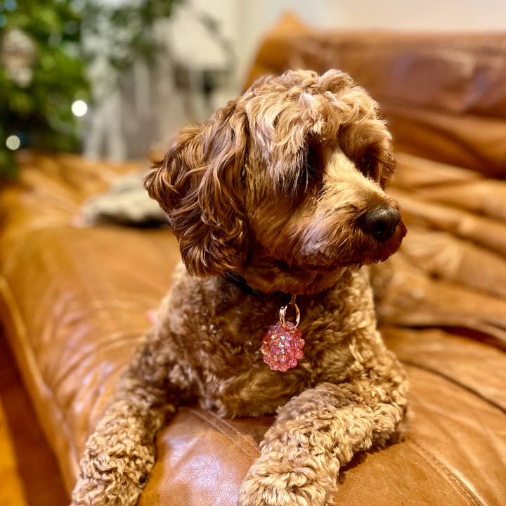 Prescription Resin - Wholesale Keychain - Women's - RESIN BAG CHARM | DOG COLLAR TAG | x 6 MIXED ASSORTMENT4