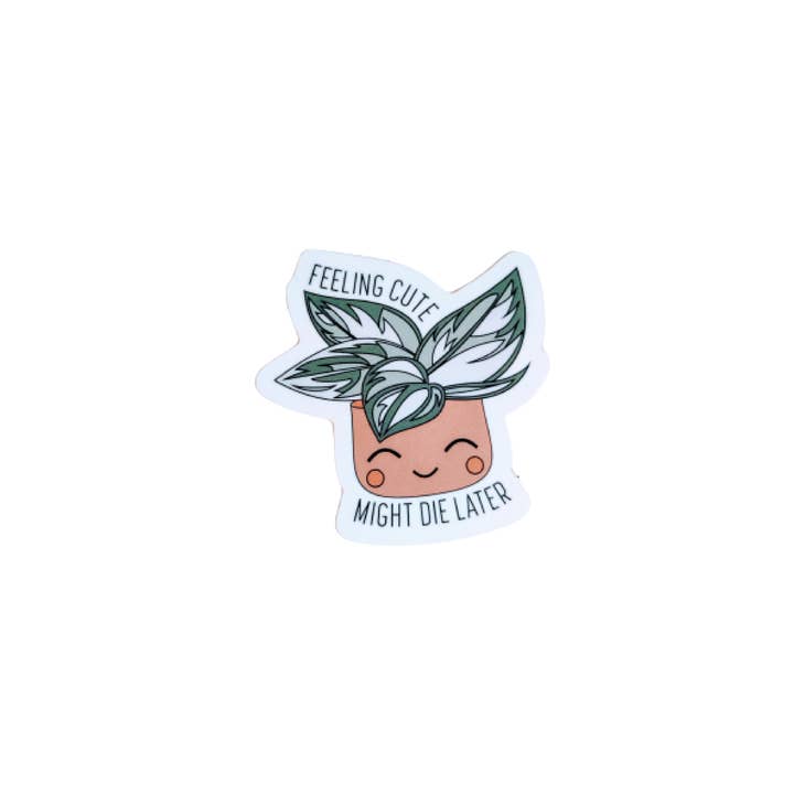 BumbleB Graphic Design - Wholesale Sticker - Feeling Cute Vinyl Sticker1