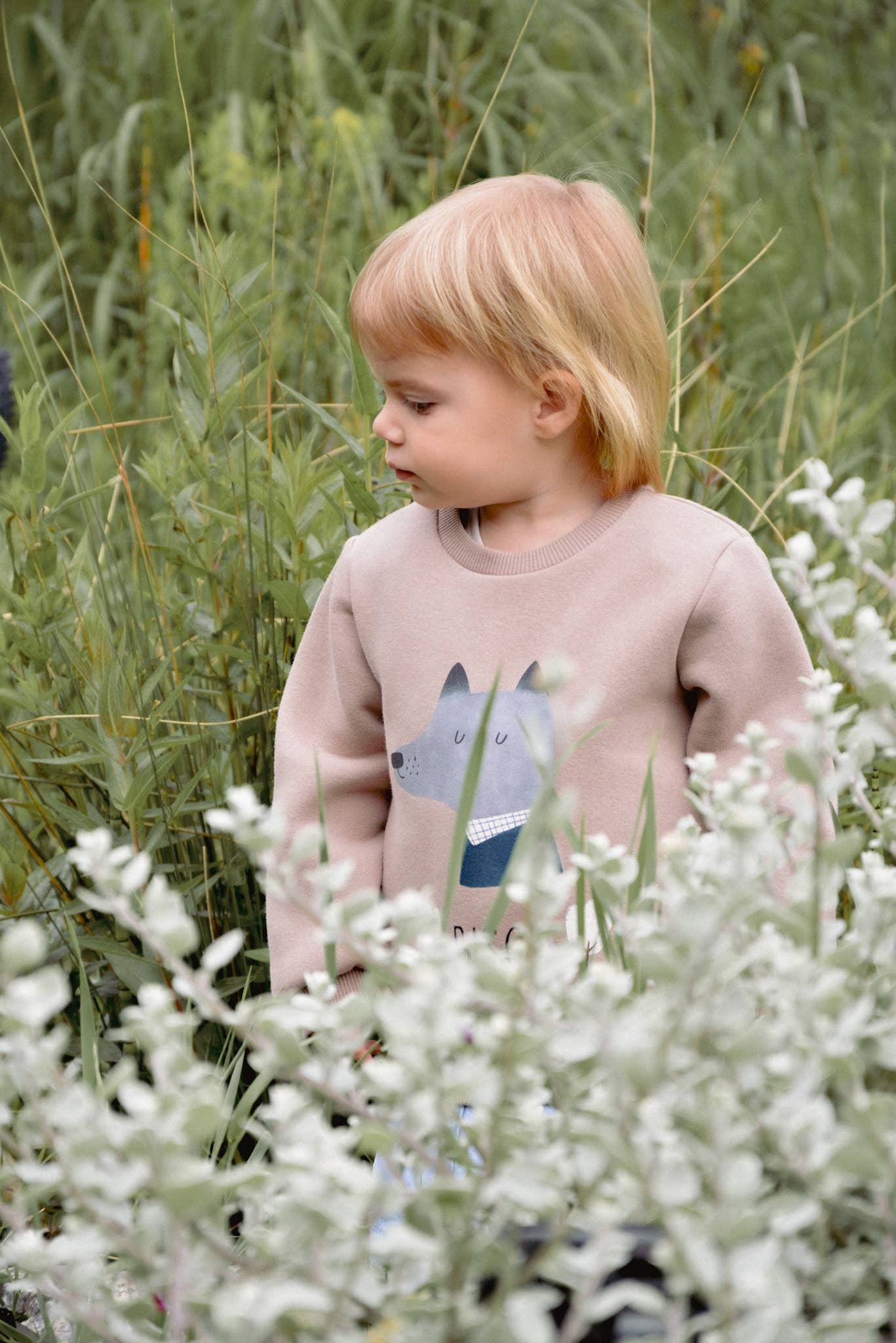 Eli & Nev (we cover U.S. import duties) - Wholesale Sweatshirt - Kids - Baby / Kid Sweatshirt Wolf Print OEKO-TEX3