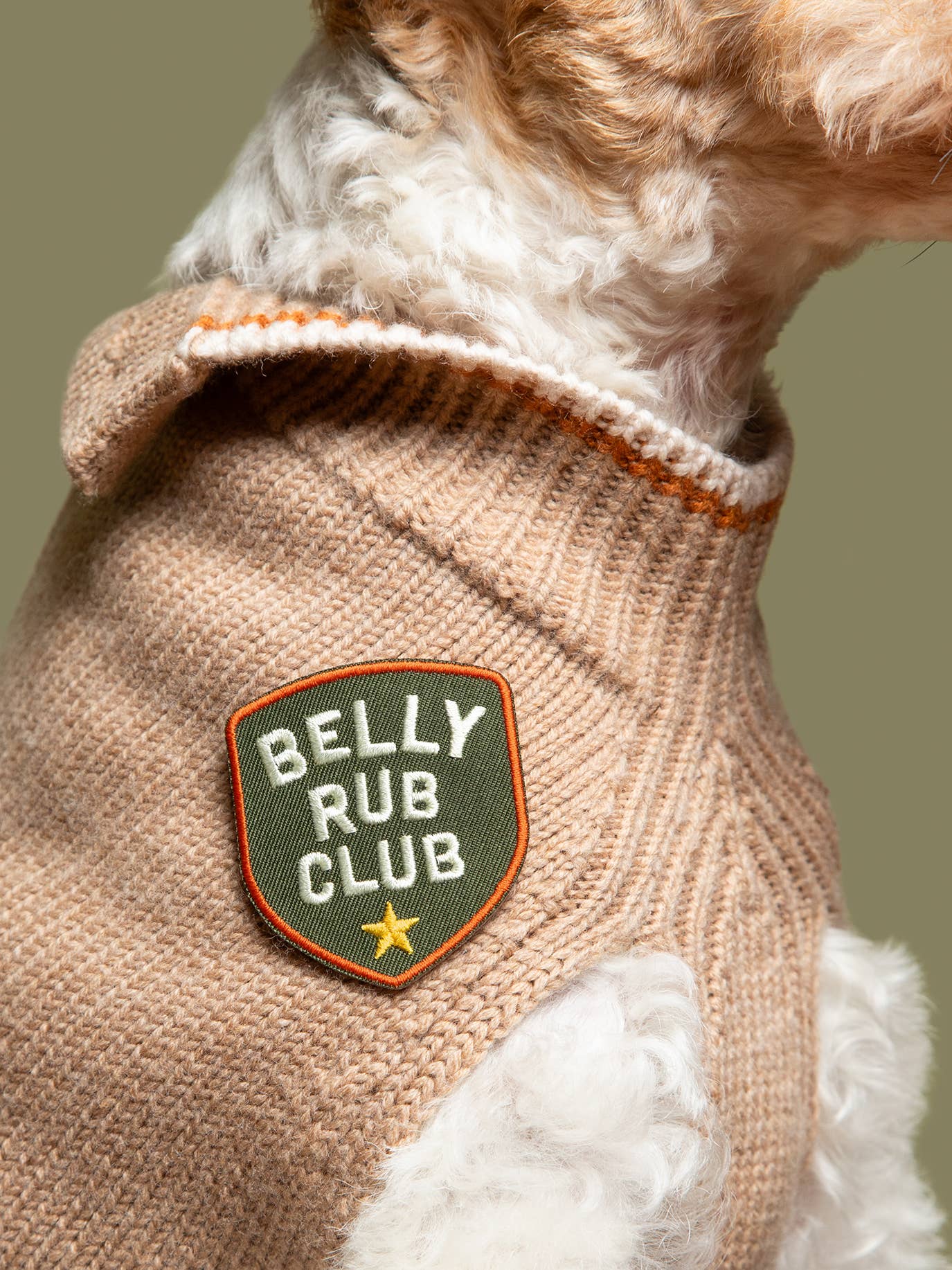 Scout's Honour Pty Ltd - Wholesale Pet bandana – Dog - Belly Rub Club iron-on patch for dogs