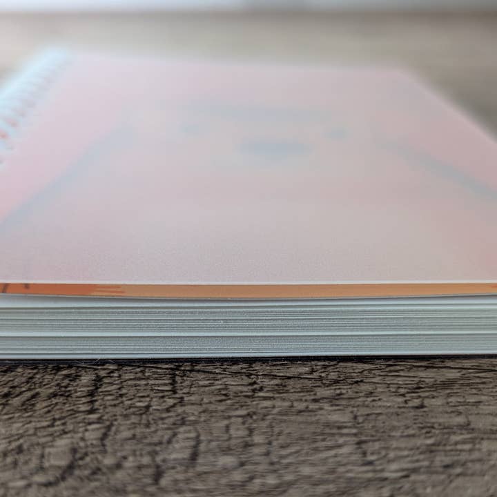 Sadsquatch - Wholesale Notebook - Hyrax Too Many Stickers - Reusable Sticker Book - 50 Pages4