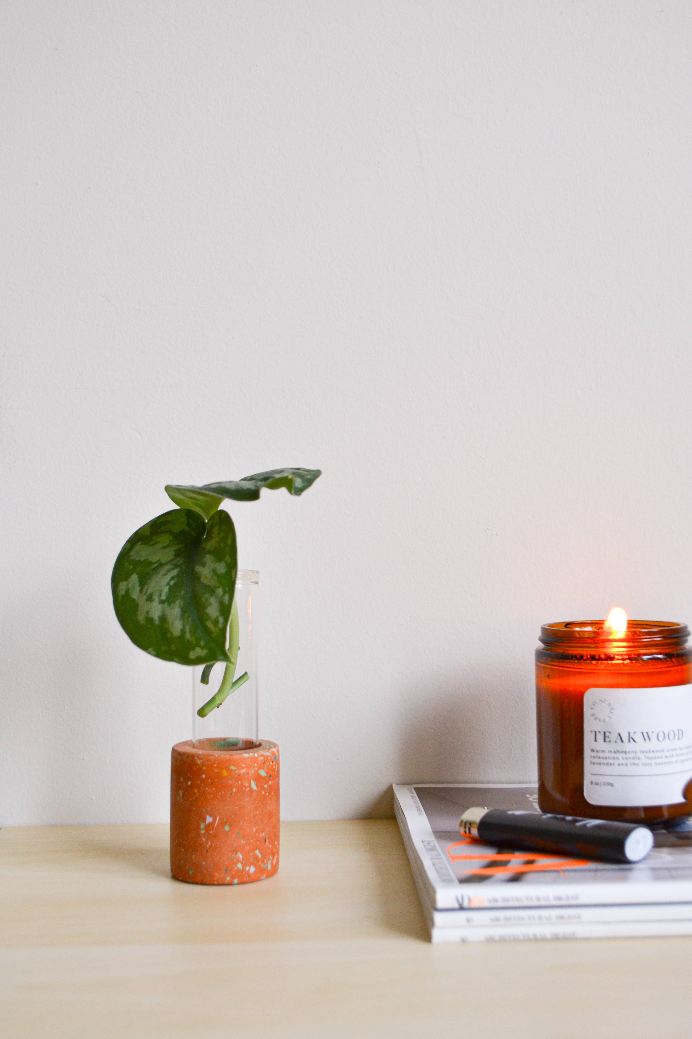 LindaMakess - Wholesale Plant Pot - Zero Waste Terrazzo Single Propagation Test Tube Plant Stand6