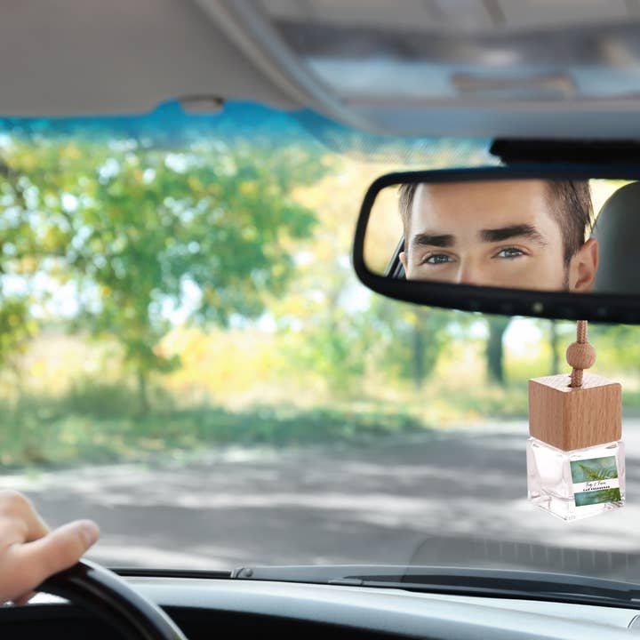 Fruity & Juicy Hanging Car Freshener Collection – Sweet, Playful & Tropical Car Scents for wholesale by ScentsOfGlow