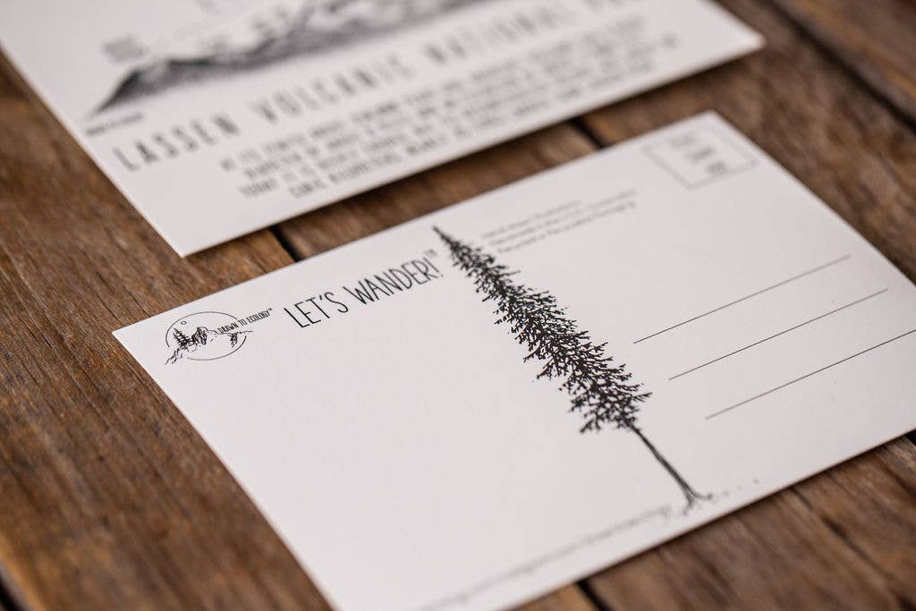 Drawn to Ecology - Wholesale Postcard - Next Steps Postcard1