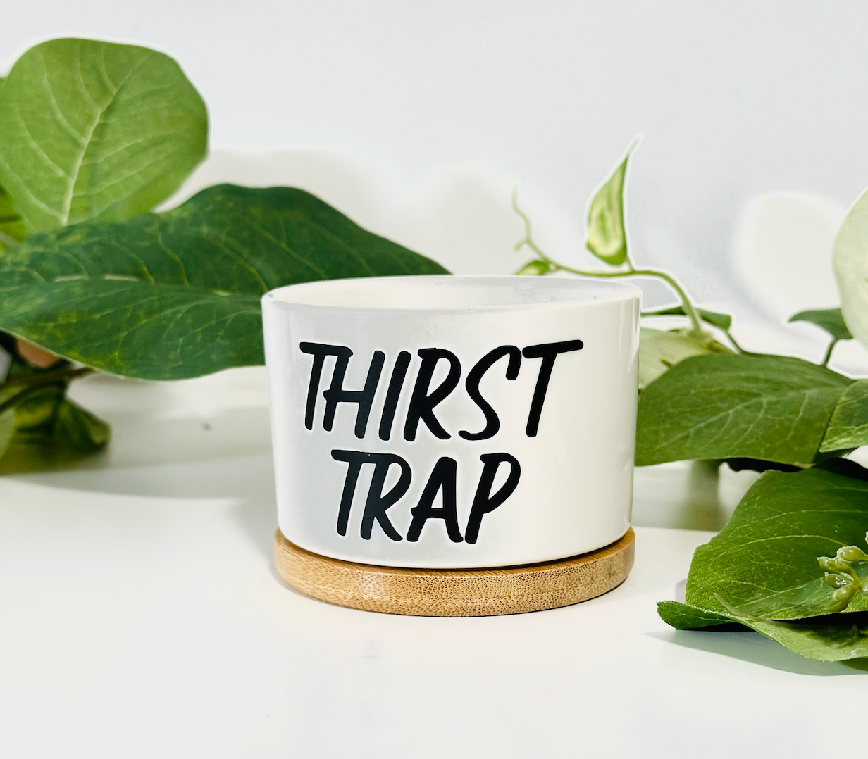 Peach Tree Design Shop - Venta al por mayor Macetas - Mini macetas divertidas, maceta con juego de palabras, macetero para suculentas7