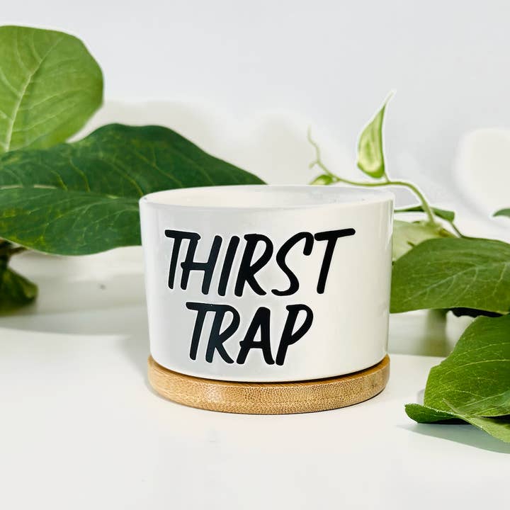 Peach Tree Design Shop - Wholesale Plant Pot - Funny Mini Planters, Punny Plant Pot, Cute Succulent Planter6