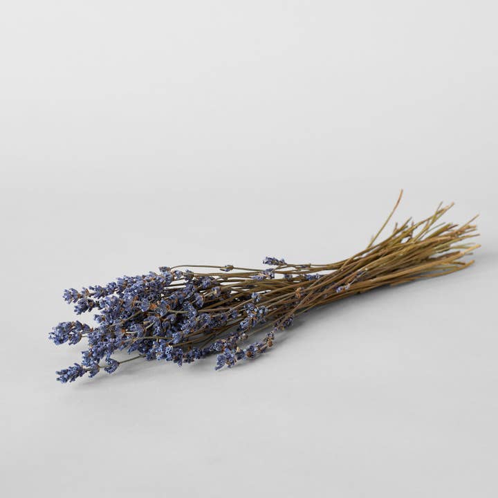 Bloomist - Wholesale Dried/Pressed Flowers - Dried Lavender