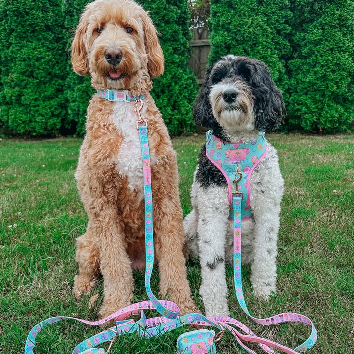 SASSY WOOF - Wholesale Pet Leash - Dog - Dog Leash - Polly Pocket™9