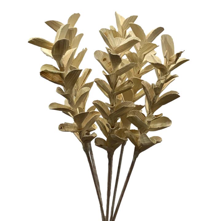 Wilco Home - Vente Fleurs artificielles - Feuillage de gardénia en bois de shola blanchi au soleil à 5 tiges