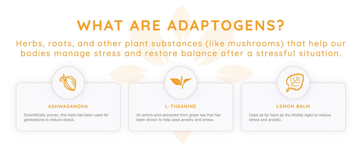 Zenjoy - Vente Apéritifs sans alcool/mocktails - Zenjoy - Thé Noir Mangue, Boisson Adaptogène Anti-Stress4