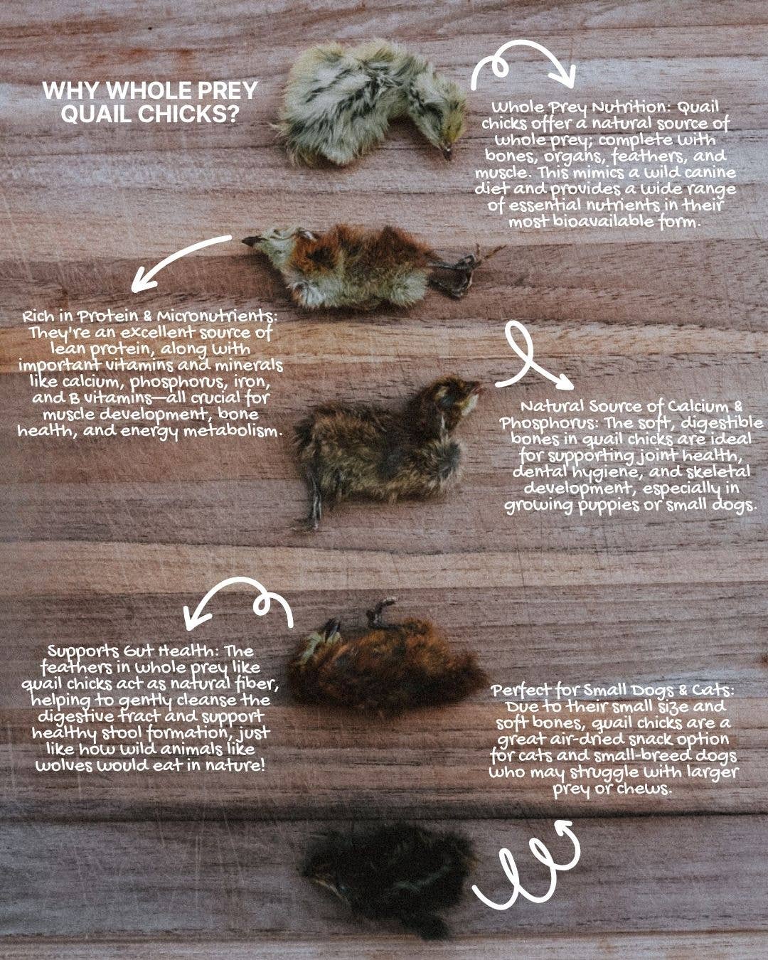 Litto Howler – wholesale Pet treats – Cat – Whole Prey Quail Chicks | 15 Count 4