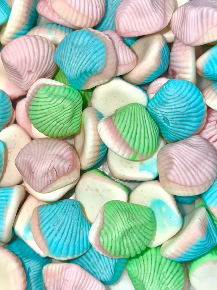 Jelly Filled Foamy Seashells for wholesale by Sweet On You