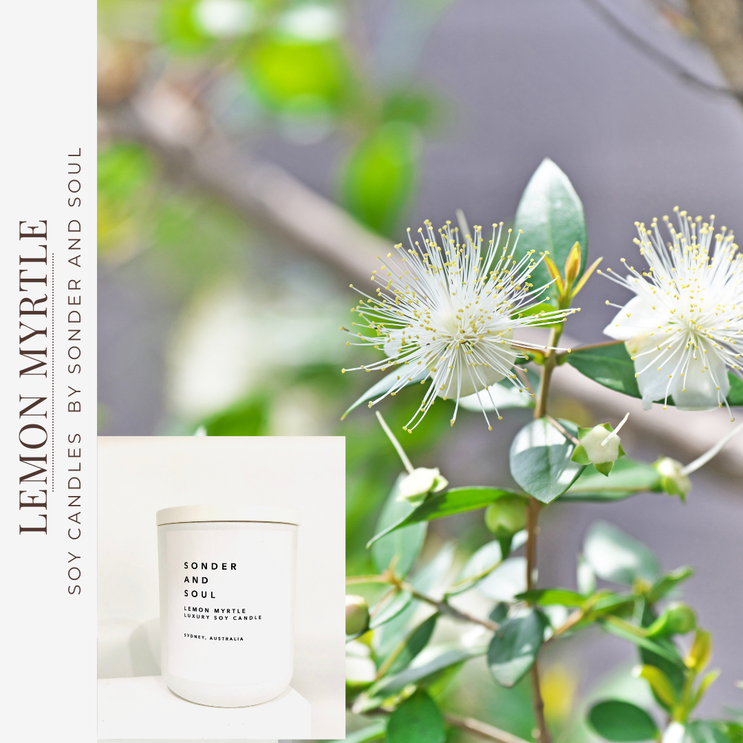 Sonder and Soul - Vendita all'ingrosso Candela in vasetto - Candela di soia al limone e mirto1