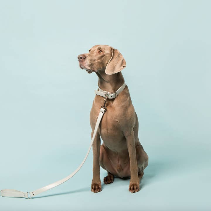 Skylos Collective - Wholesale Pet Collar - Dog - Blue Vegan Leather Dog Collar3