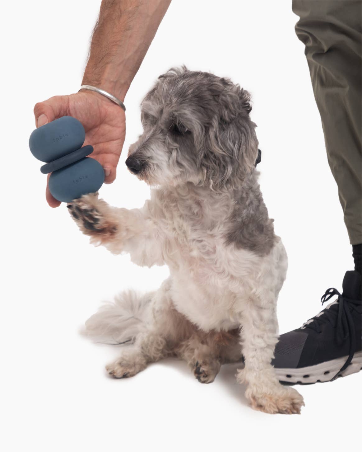 Fable Pets - Wholesale Pet Toy - Dog - Armadillo Dog Toy6