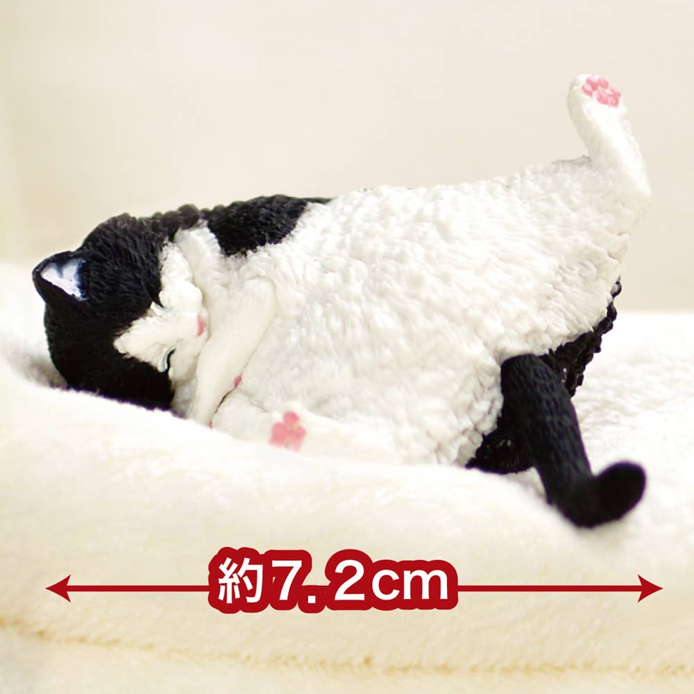 Hakubundo - Wholesale Ornament - 【JAPANESE BLIND BOX】SLEEPY CAT BLIND BOX8