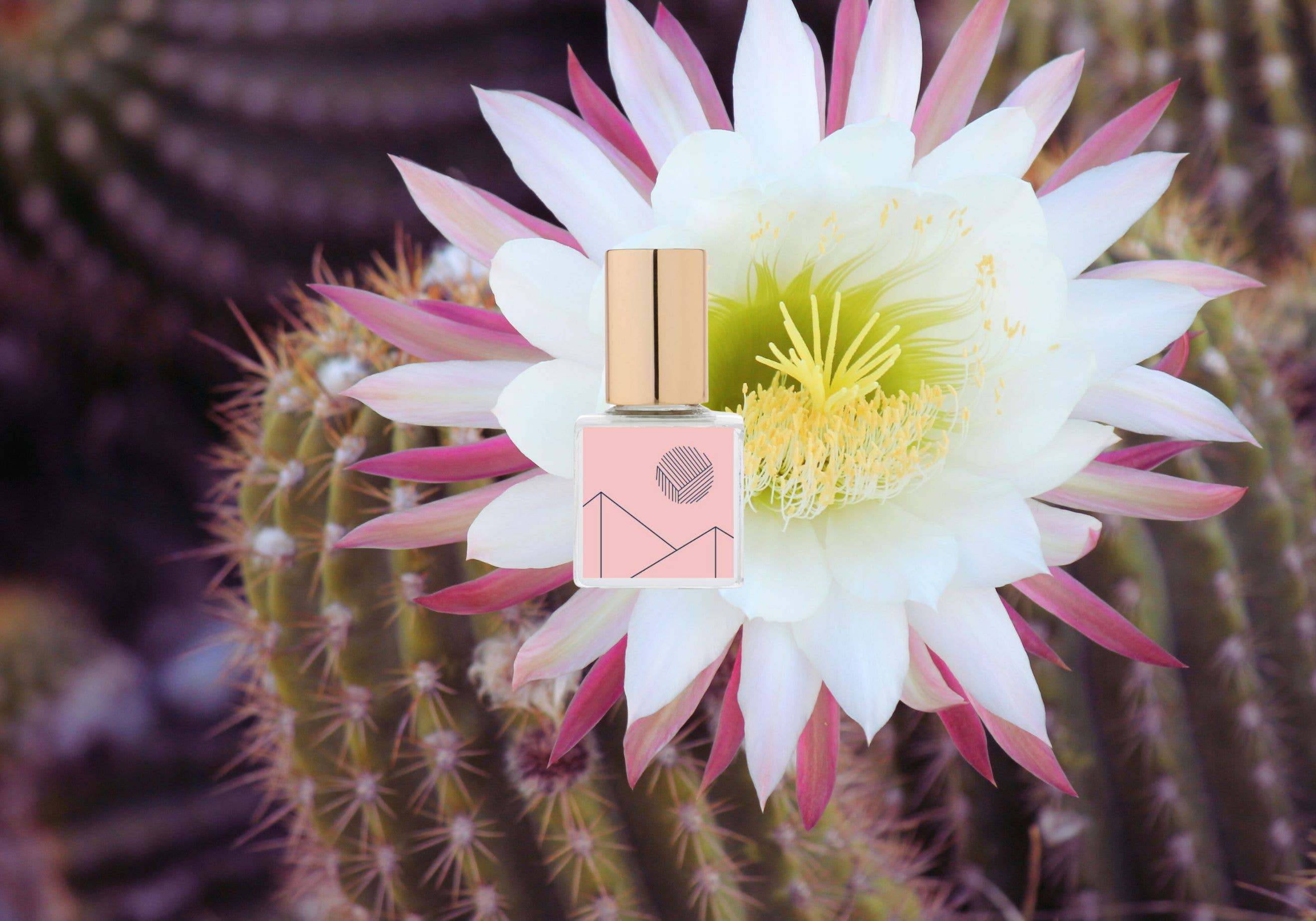 Kelly + Jones - Wholesale Roll-On Fragrance - MEZCAL GOLD Perfume Oil: Flora3