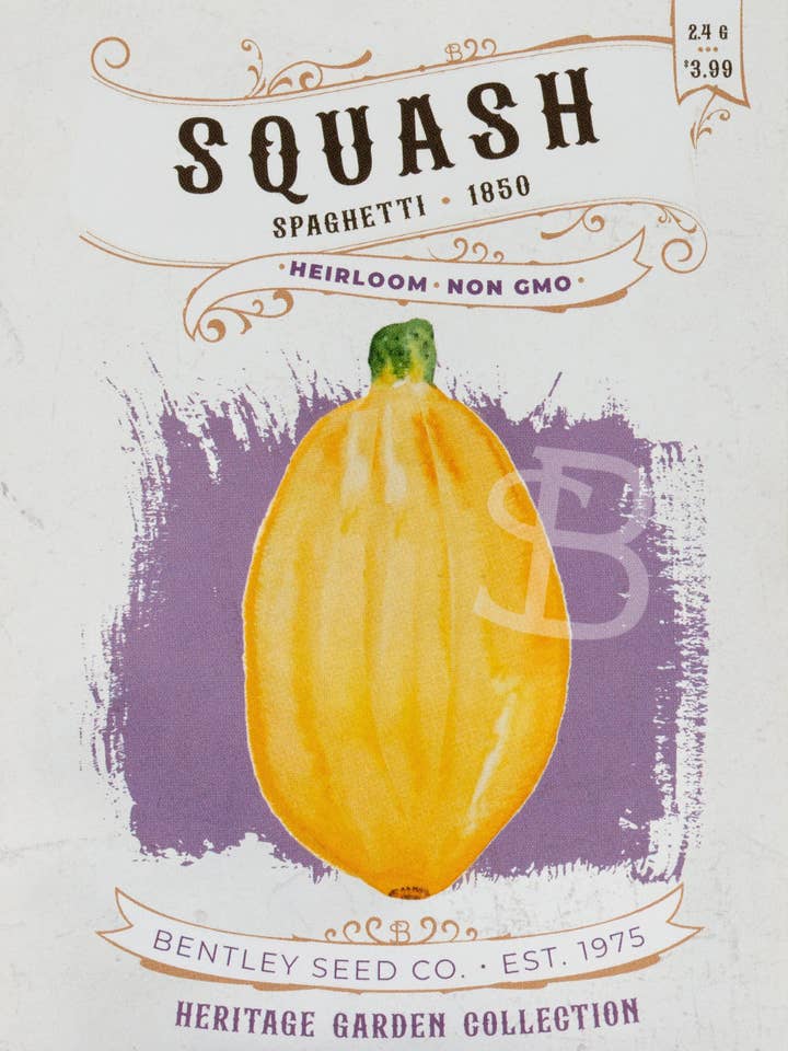 Squash-Spaghetti 1850 for wholesale by Bentley Seed Co.