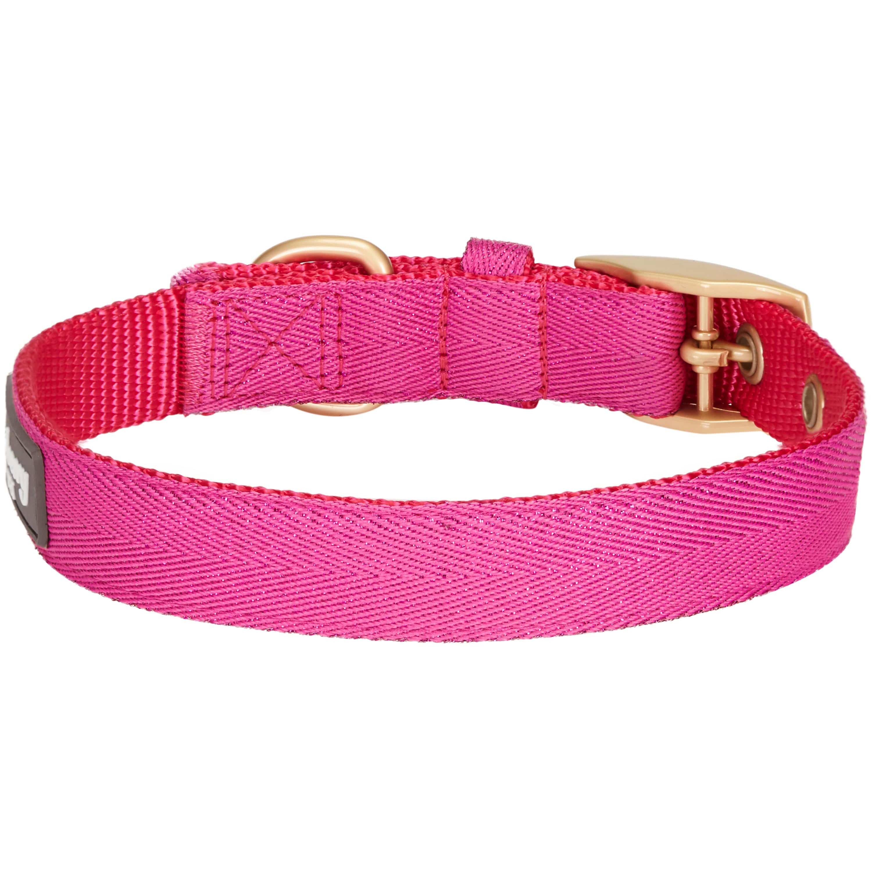 Blueberry Pet – coleira - Cão por atacado – A mais cobiçada designer de fio metálico para cão10