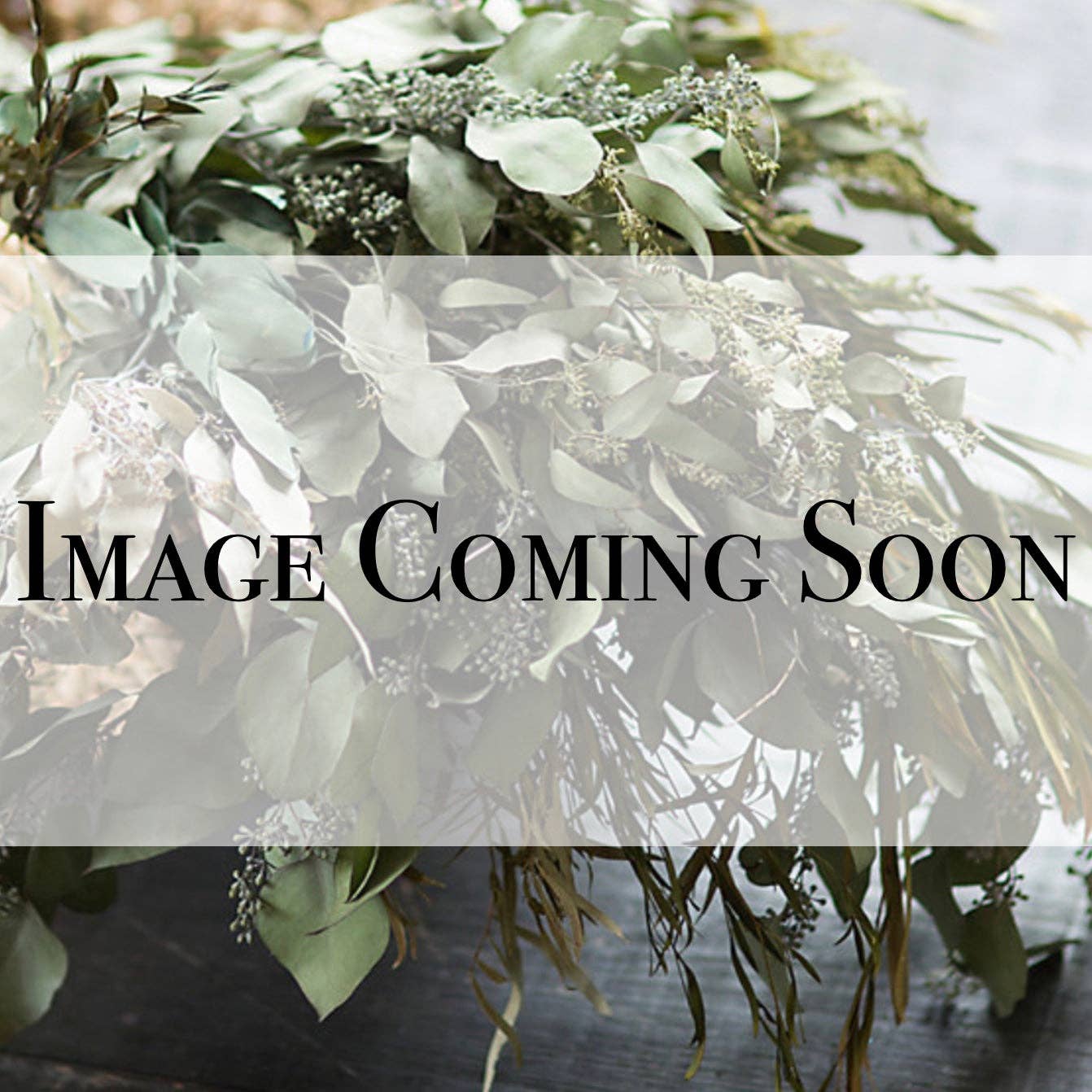 Modern Skyn Alchemy LLC. - Wholesale Bath/Body Oil - Pure Seduction Body Oil1