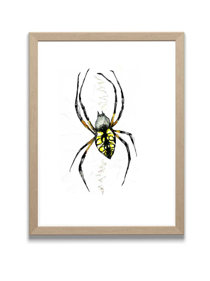 Writing Spider Sketch - Original Art Print for wholesale by Locksley Workshop