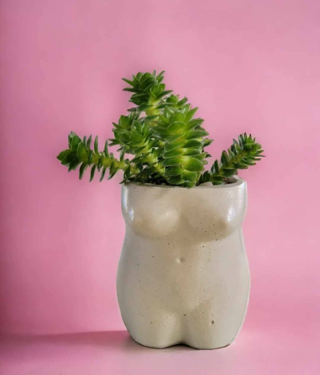 Fern and Folk - Wholesale Plant Pot - Body Pot | Female Planter | Female Pot | Female Planter1