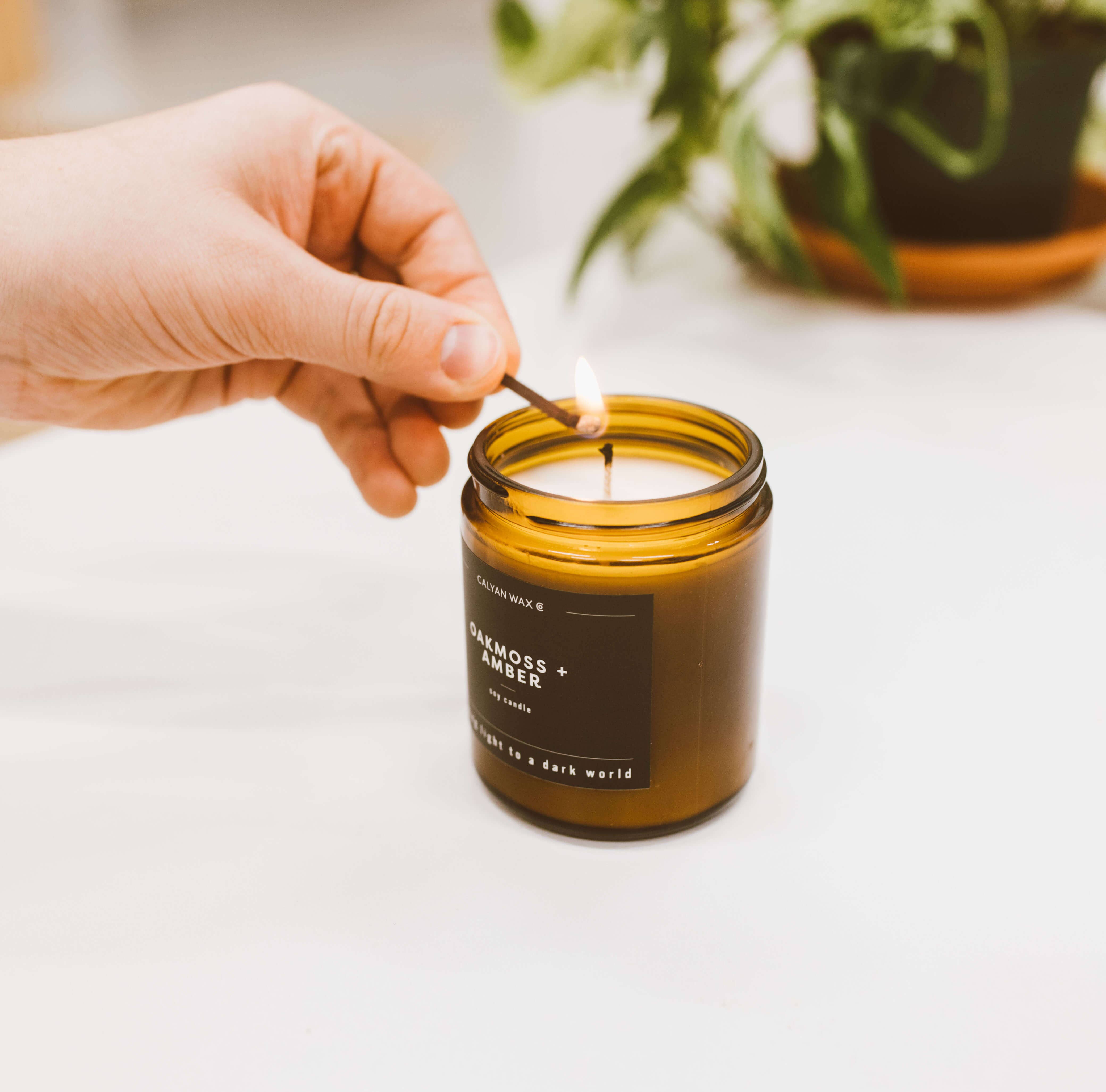 Calyan Wax Co. - Wholesale Jar/Filled Candle - Oakmoss + Amber - Amber Jar Soy Candle4