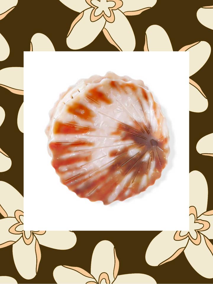 ʻOpihi Shell Claw Clip for wholesale by The Coconut Collective