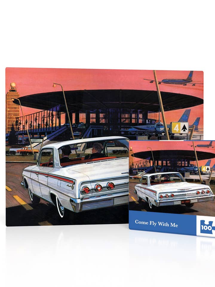 Come Fly With Me Mini - 100 Piece Mini Puzzle for wholesale by New York Puzzle Company