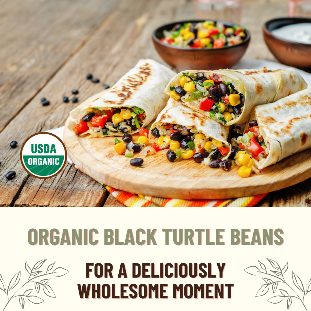 Mountain High Organics – wholesale Beans – Organic Black Beans, 1lb. (6 pack) - Mountain High Organics5