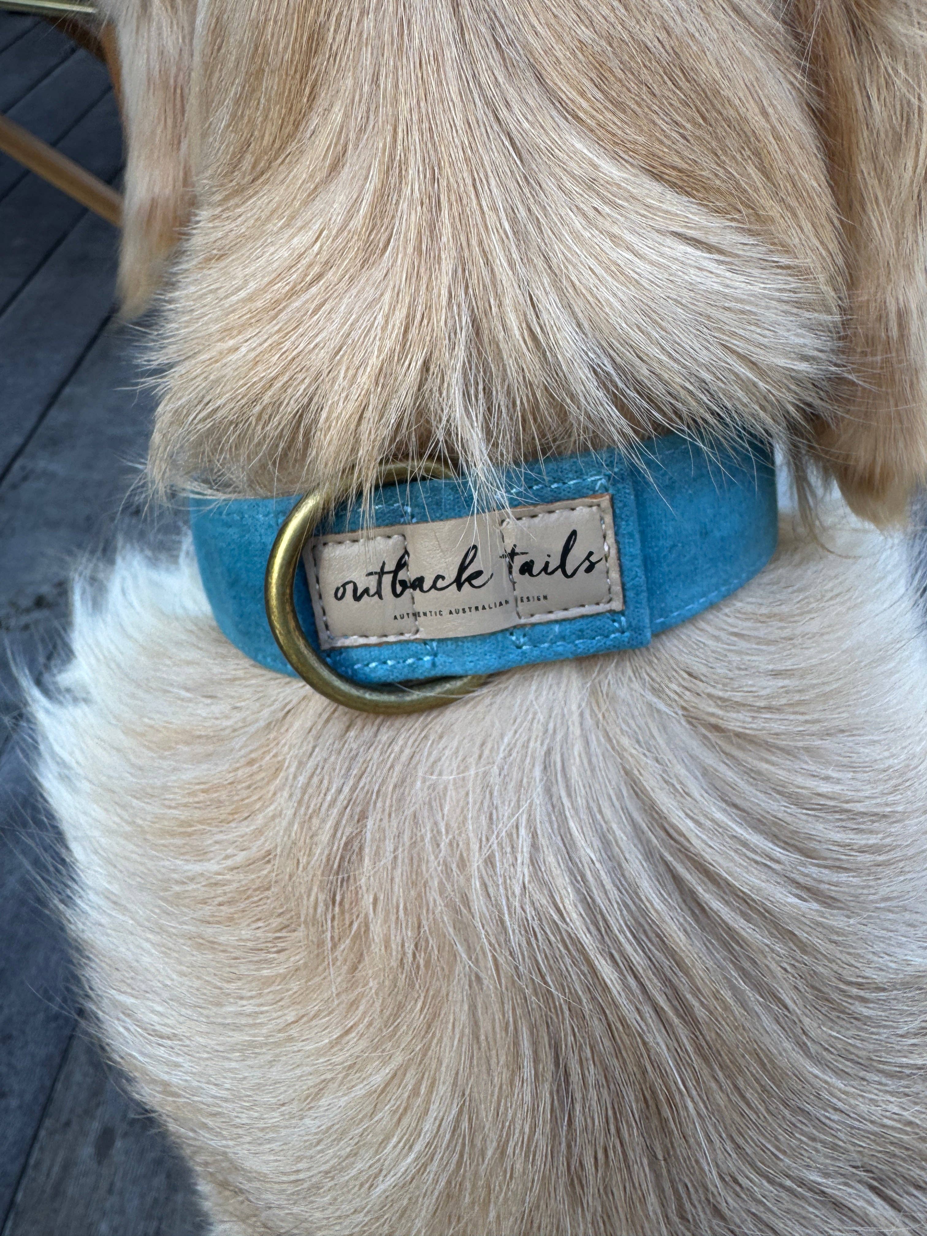 Outback Tails – wholesale Pet collar – Dog – Waxed Canvas Dog Collar - Blue3