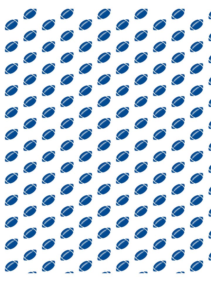 The Yellow Lamb - Wholesale T-Shirt - Kids - Game Day Quarter Zip - Blue5