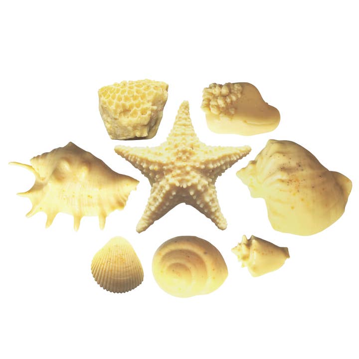 LOT DE 8 SAVONS - Neroli & Ylang Ylang | Savon Seashell pour la vente par Seashell Soap