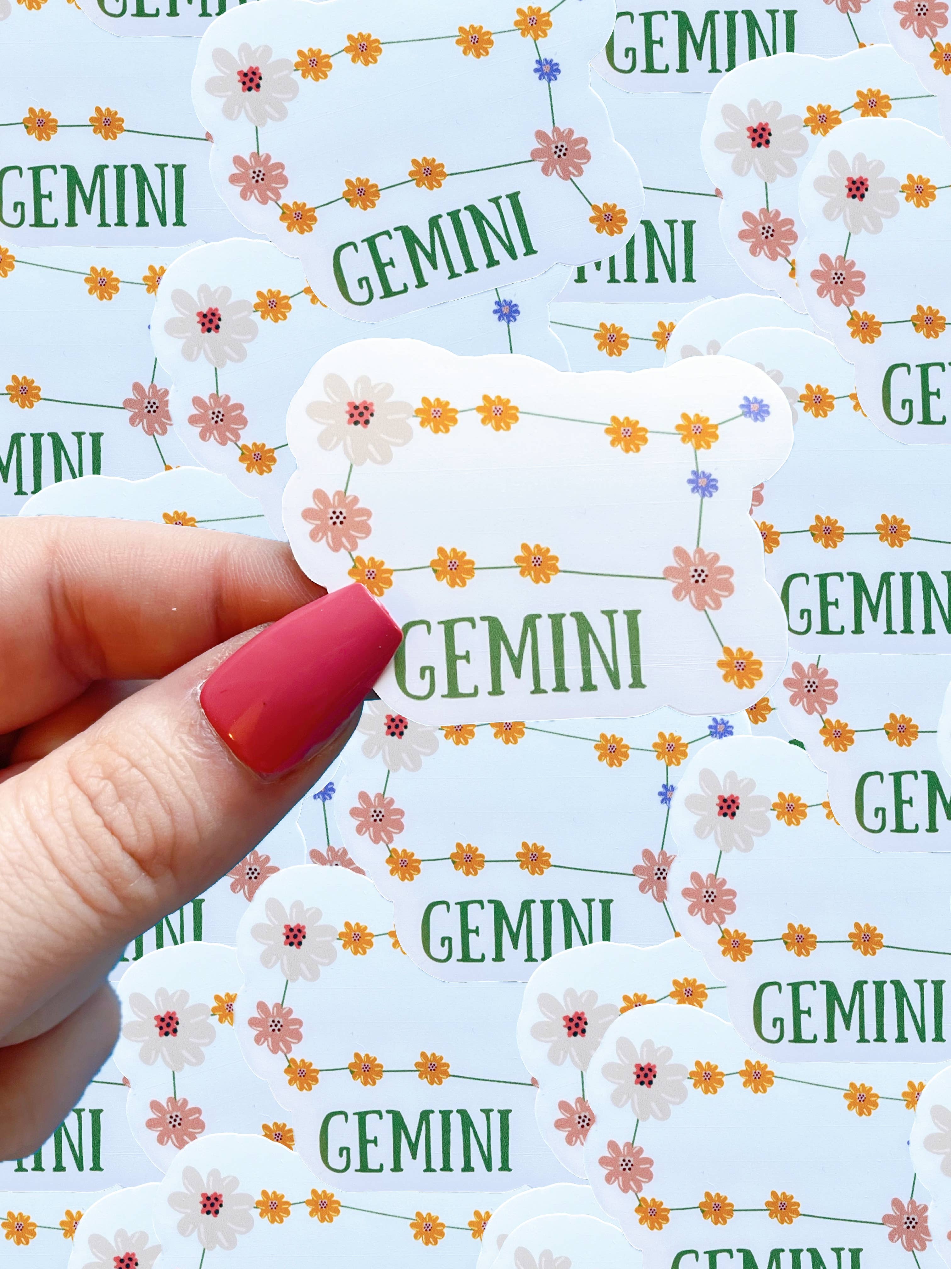 Typo Lettering Co - Wholesale Sticker - Floral zodiac waterproof sticker SET6