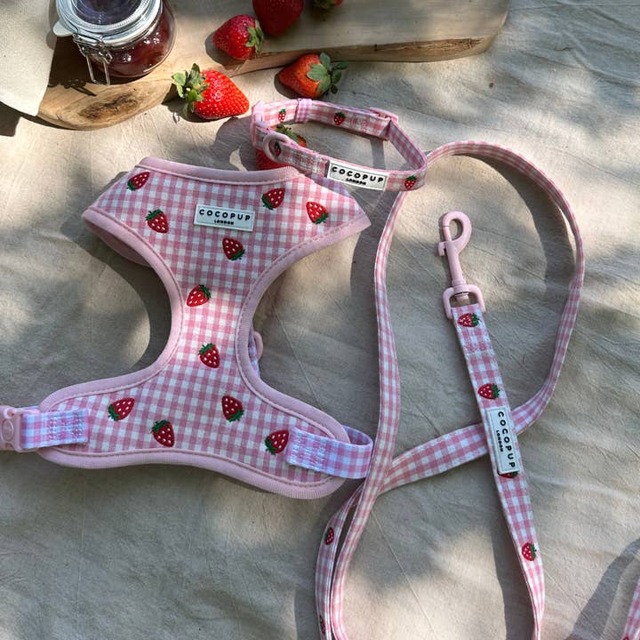 Cocopup London - Wholesale Pet Harness - Dog - Strawberry Picnic Pup Adjustable Neck HARNESS4
