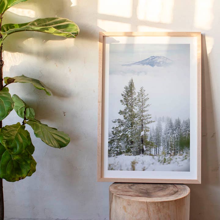 25 décembre 2024 - Parc d'État de Plumas-Eureka, Californie pour la vente par Jess Gibbs Photography