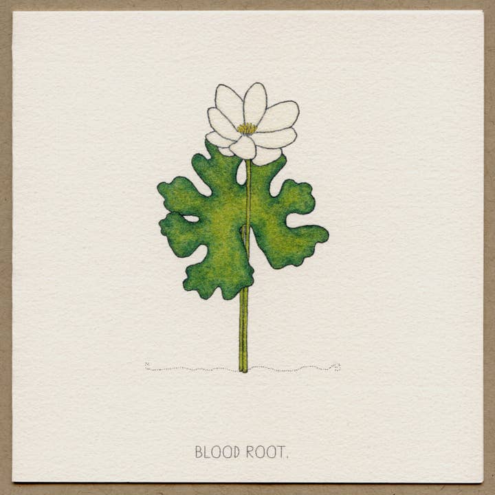 Blutwurzel-Grußkarte. für den Großhandel von Beth Mueller