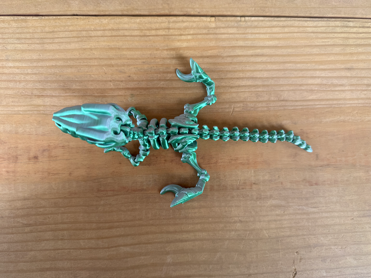 LNZ Custom Design - Vendita all'ingrosso Giocattolo fidget - Bambini - Scheletro di Velociraptor 3D Flexi - Dinosauro Sensoriale Raptor2