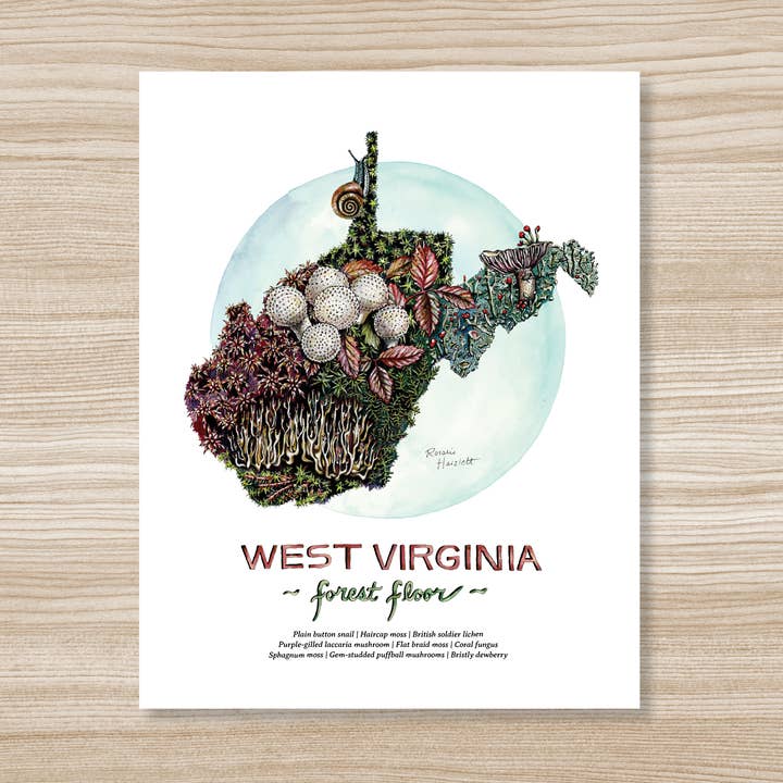 Rosalie Haizlett Illustration – wholesale Art print – West Virginia Forest Floor - Watercolor Art Print0