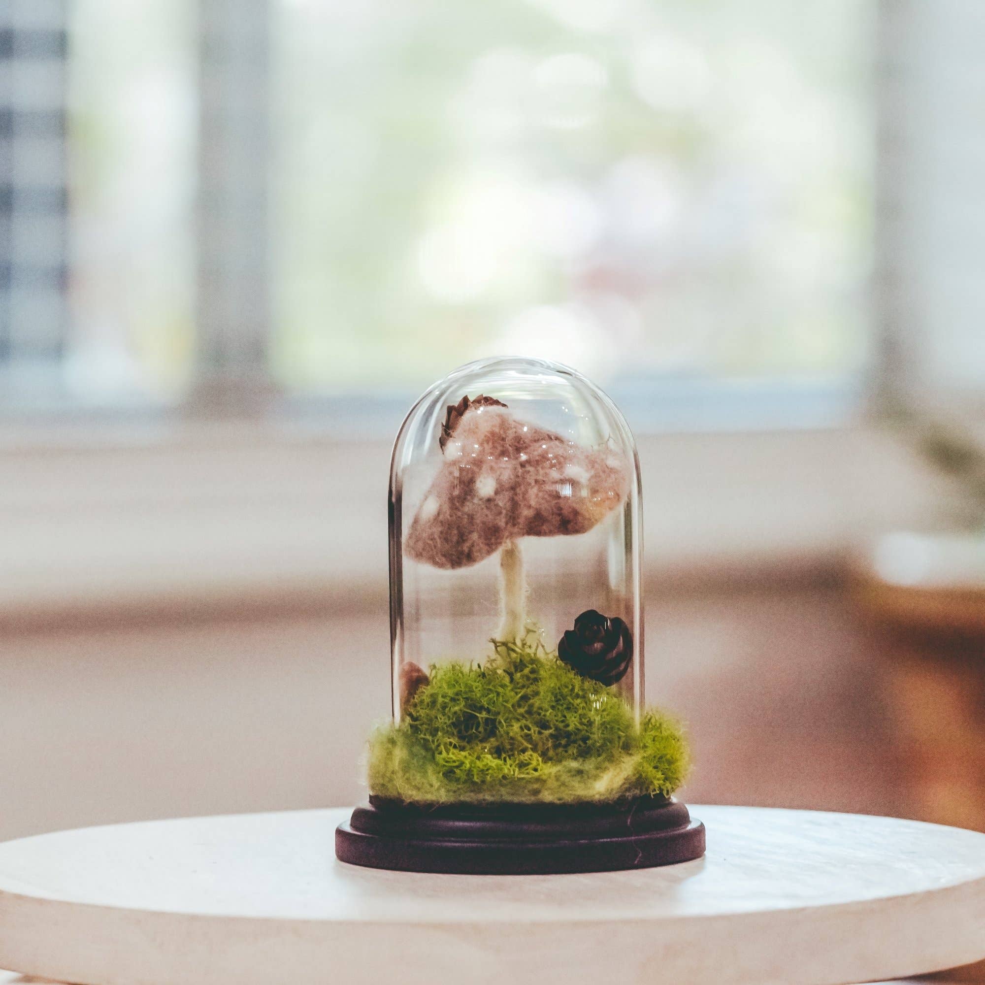 MJ and Me - Vendita all'ingrosso Decorazioni da tavolo - Cloche per terrario Forest Floor6